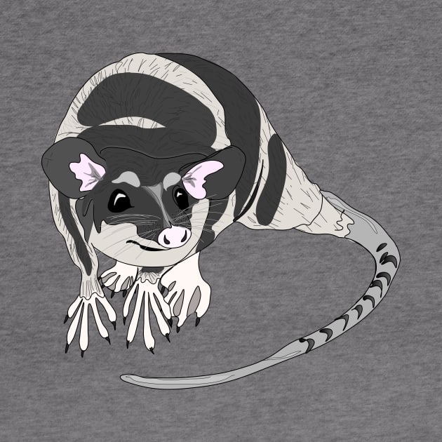 Yapok sarigue aquatic oppossum by FabuleusePlanete